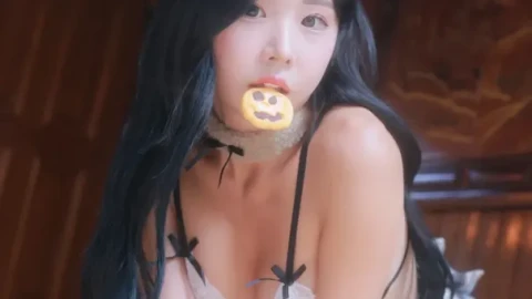 无广告片段在线观看全集播放器