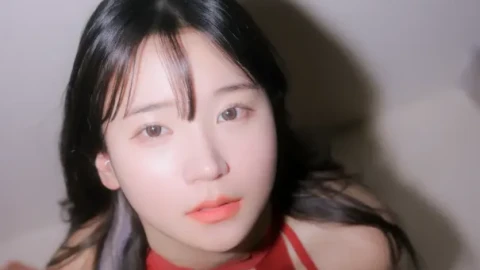 手机国产影视高清播放合集